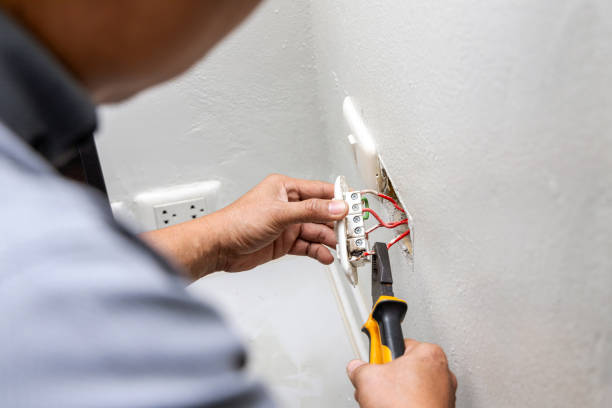 Best Electric Panel Repair  in Clifton Forge, VA